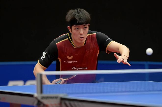 行了积极的 行了积极的